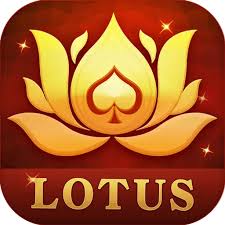teen patti win3 patti online download
